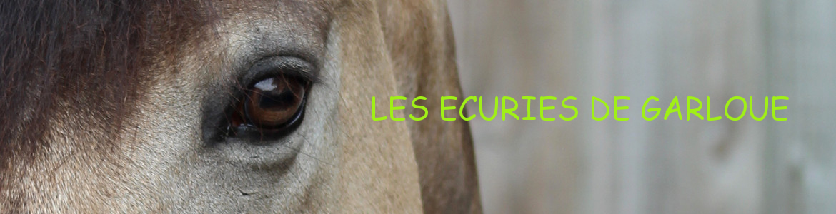 LES ECURIES DE GARLOUE